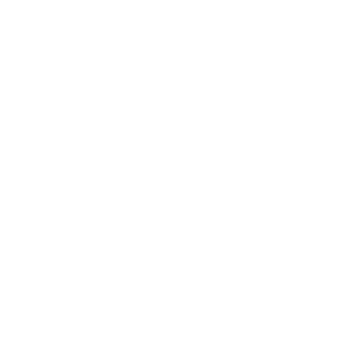 loan customers