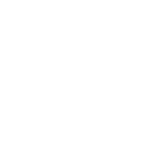 Loan Partners